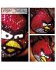 Accessories Angry Bird