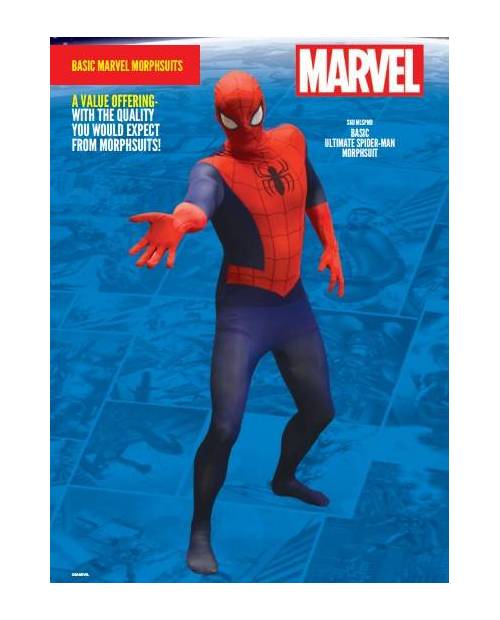 Spiderman costume