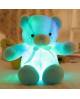 light up teddy bear