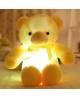 Ours Peluche Lumineux