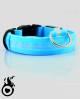 Collier chien lumineux LED