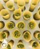 Weed 10-OH-HHC