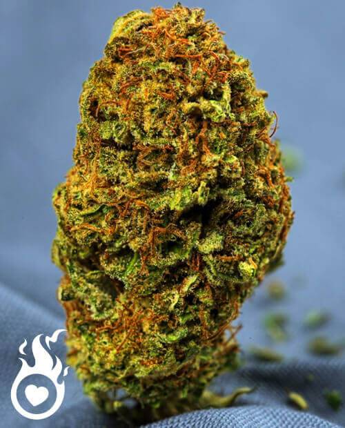 Cannabis Flower HJK